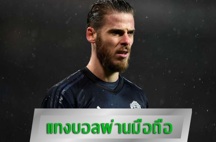 เว็บแทงบอลจัดโปร