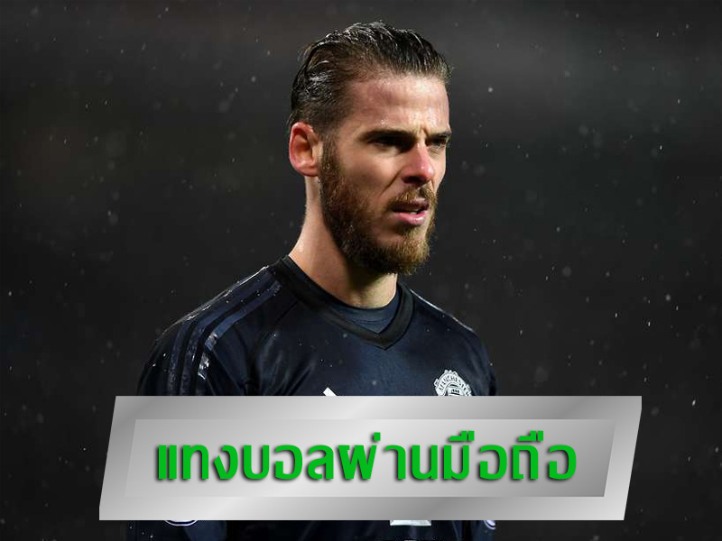 เว็บแทงบอลจัดโปร
