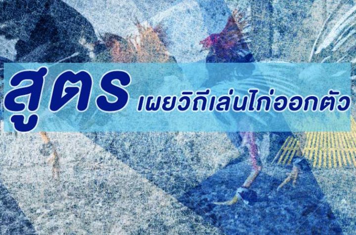 ไก่ออกตัว คืออะไร