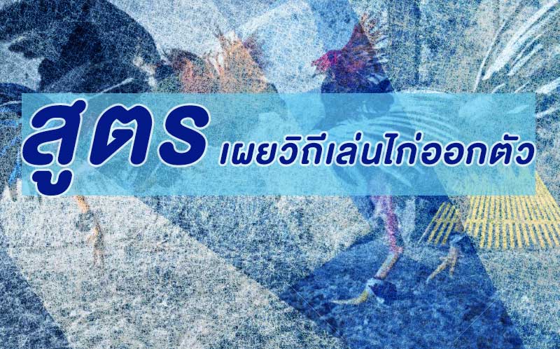 ไก่ออกตัว คืออะไร